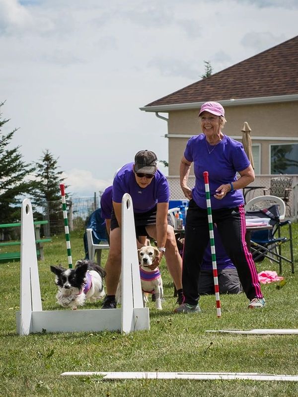Canadian Scent Hurdle Racing Association
